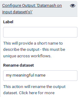 Rename output datasets