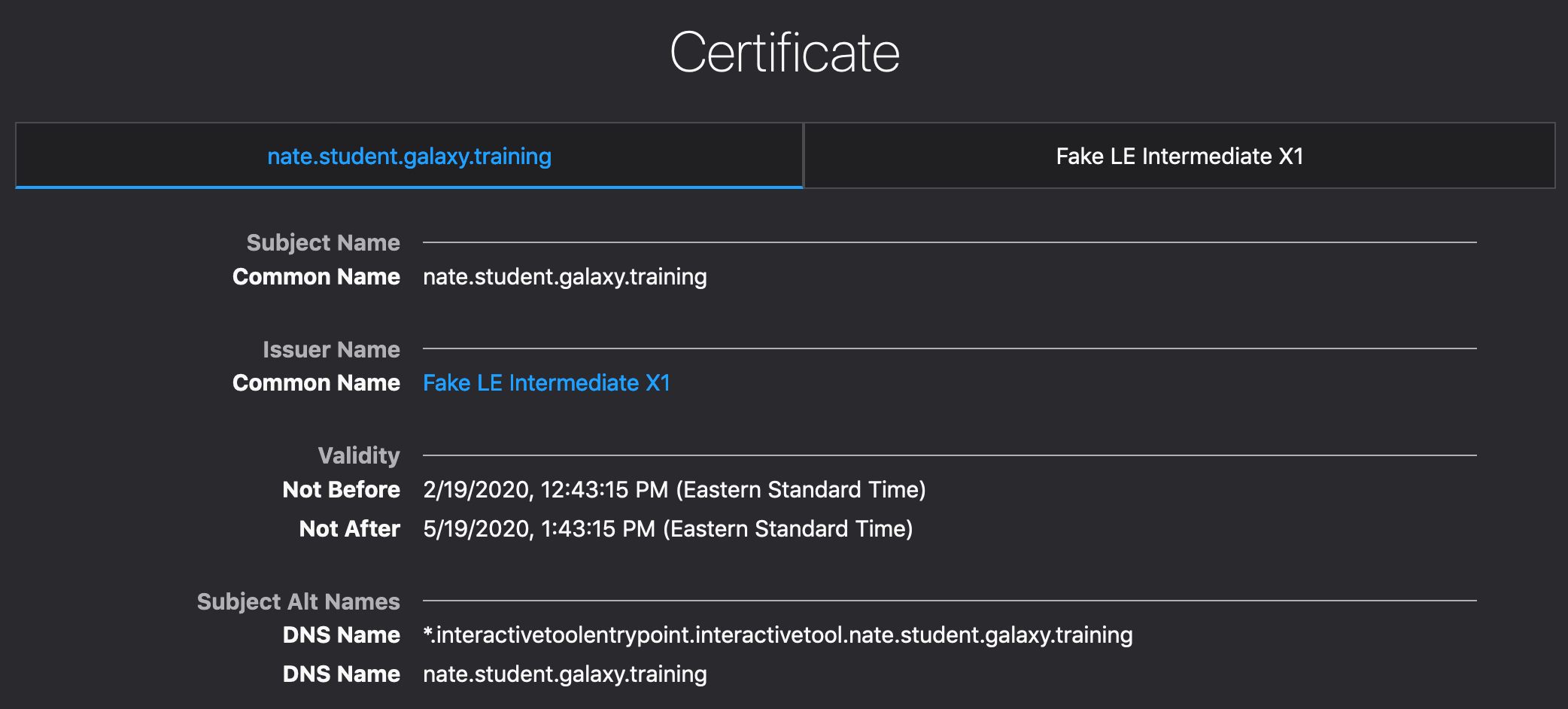 Wildcard Certificate Dialog. 