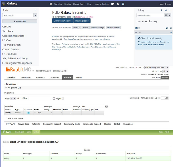 Screenshots of Galaxy, RabbitMQ, and Flower