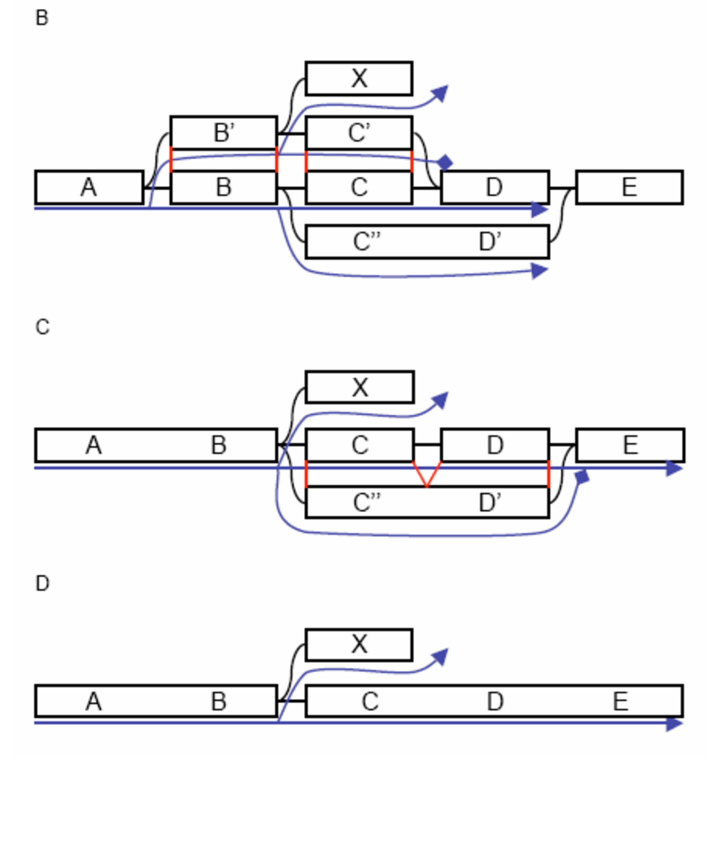 Three graphs are shown, B, C, and D. B is the most complex, C combines two nodes B and B prime, while D collapses even more nodes to further simplify the graph.