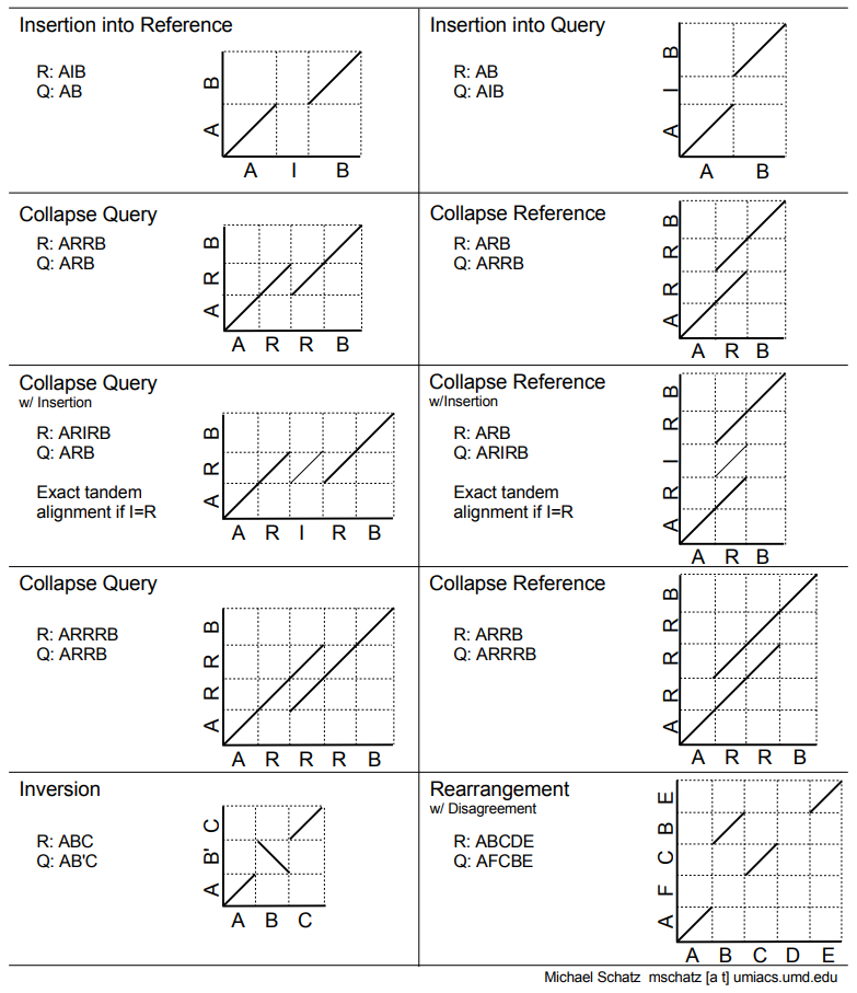 Interpreting Dot Plots. 