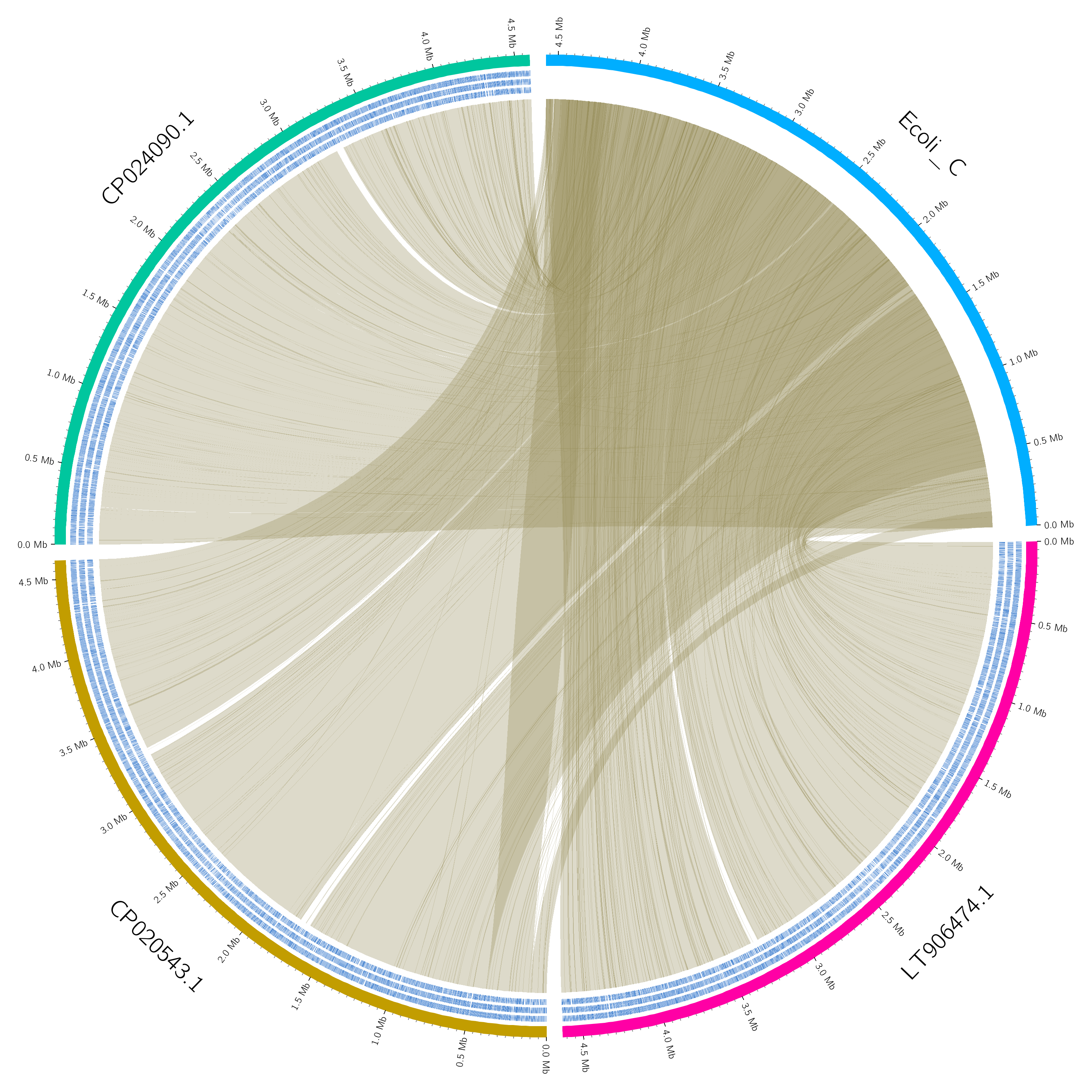 Circos plot. 