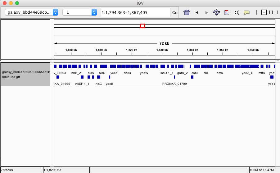 Prokka result Visualization. 