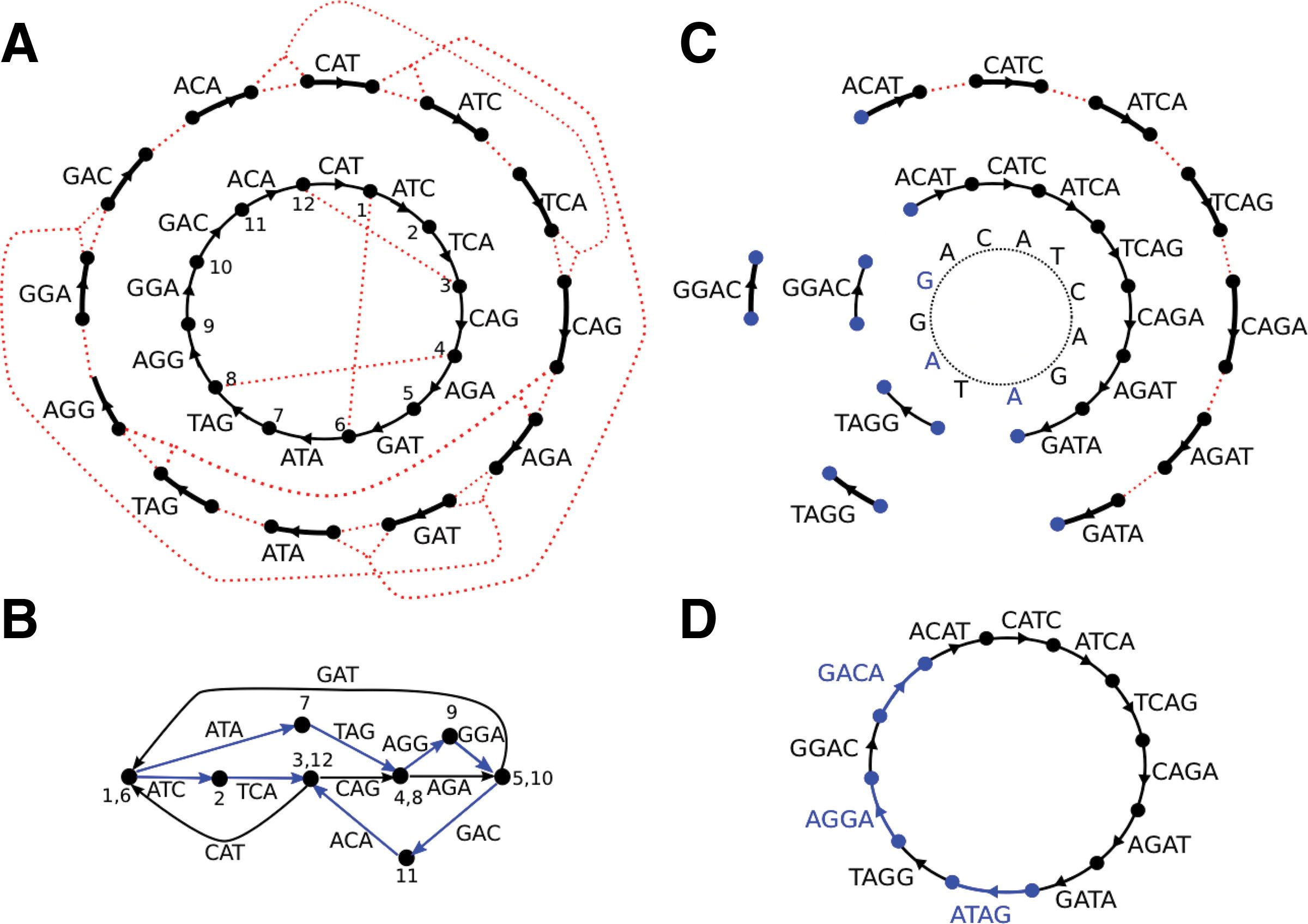 Multigraph approach implemented in SPAdes. 