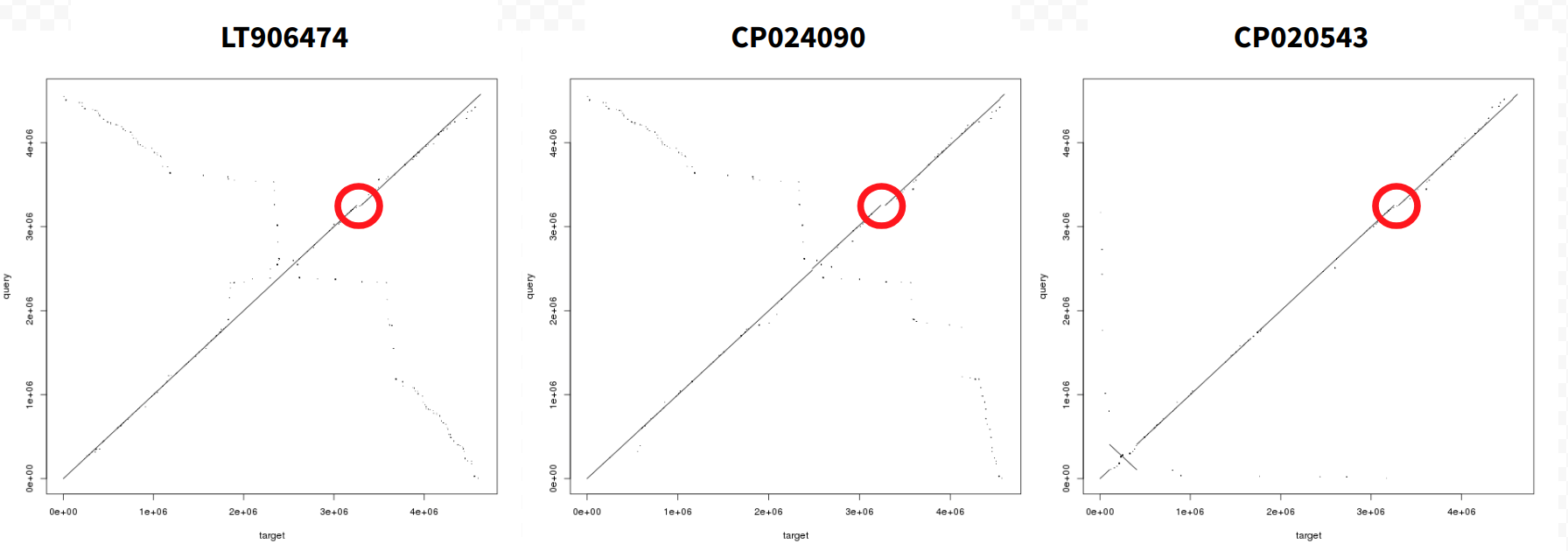 Dot Plots. 