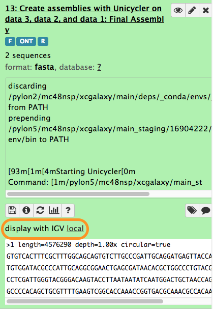 Unicycler result Visualization. 