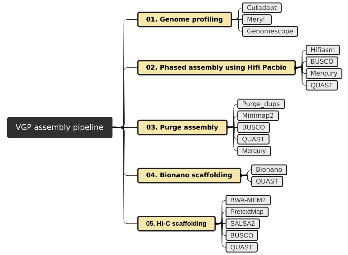 Figure 1: VGP pipeline modules. 