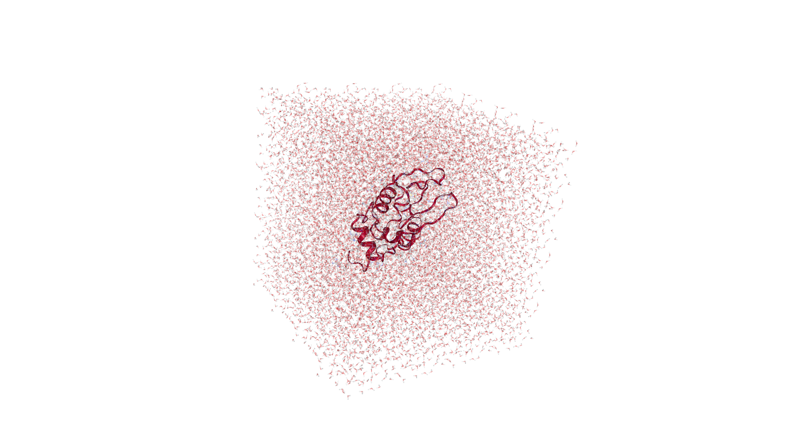 Solvated protein. 