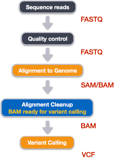 Workflow that leads from sequence reads to "variant calling" step. 