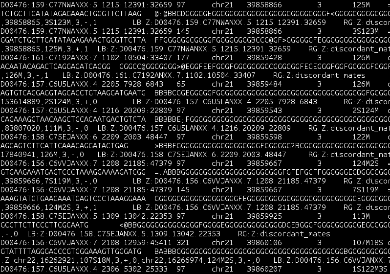 Screenshot of a terminal showing a wall of text with lines from a BAM file