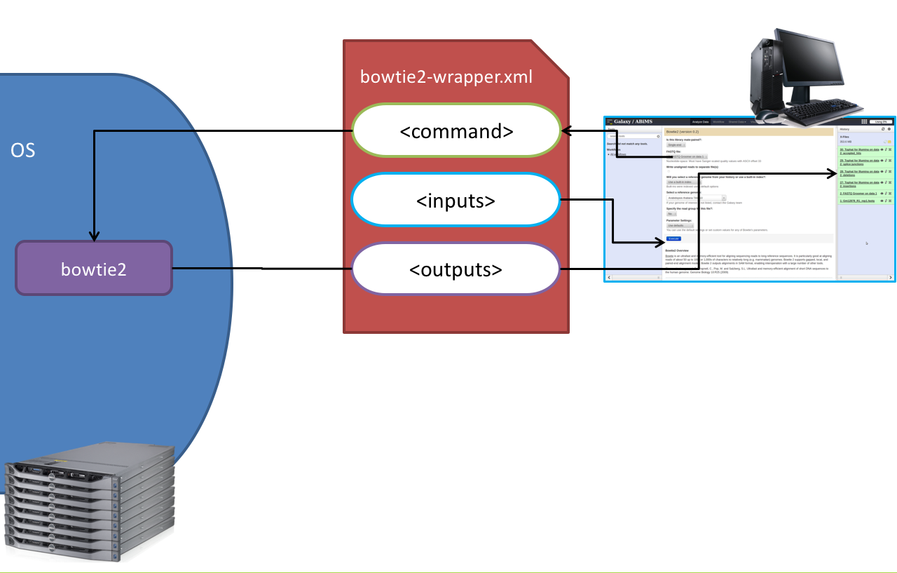 A flowchart is depicated with the galaxy interface pointing to a bowtie2-wrapper.xml file which has a command, inputs, and outputs. Inputs points back to the tool interface. The command block points to the Operating System with an image of servers and the bowtie2 binary. This points back to outputs, and back to the history within the galaxy interface