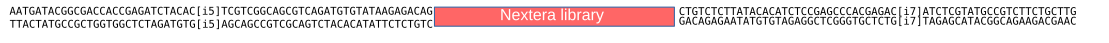 Nextera library with the sequence of adapters. 