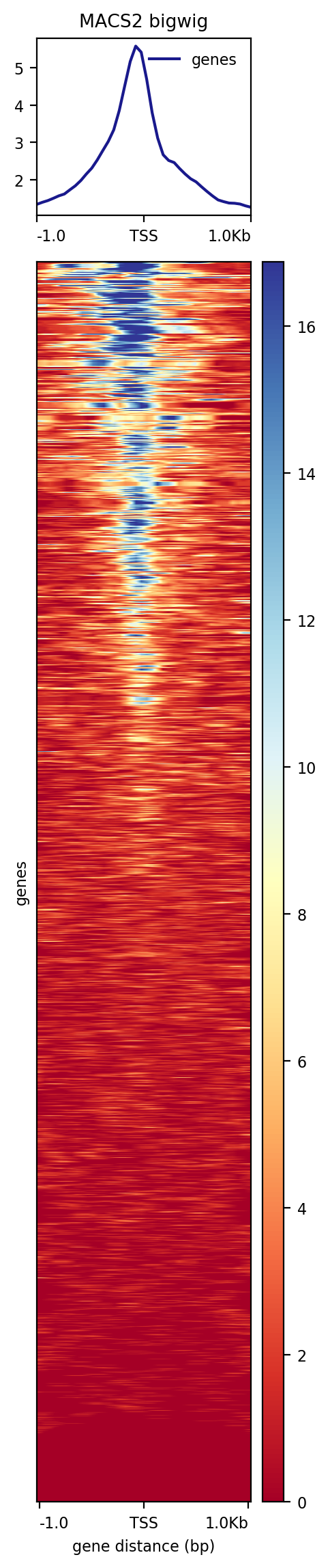 plotHeatmap output. 