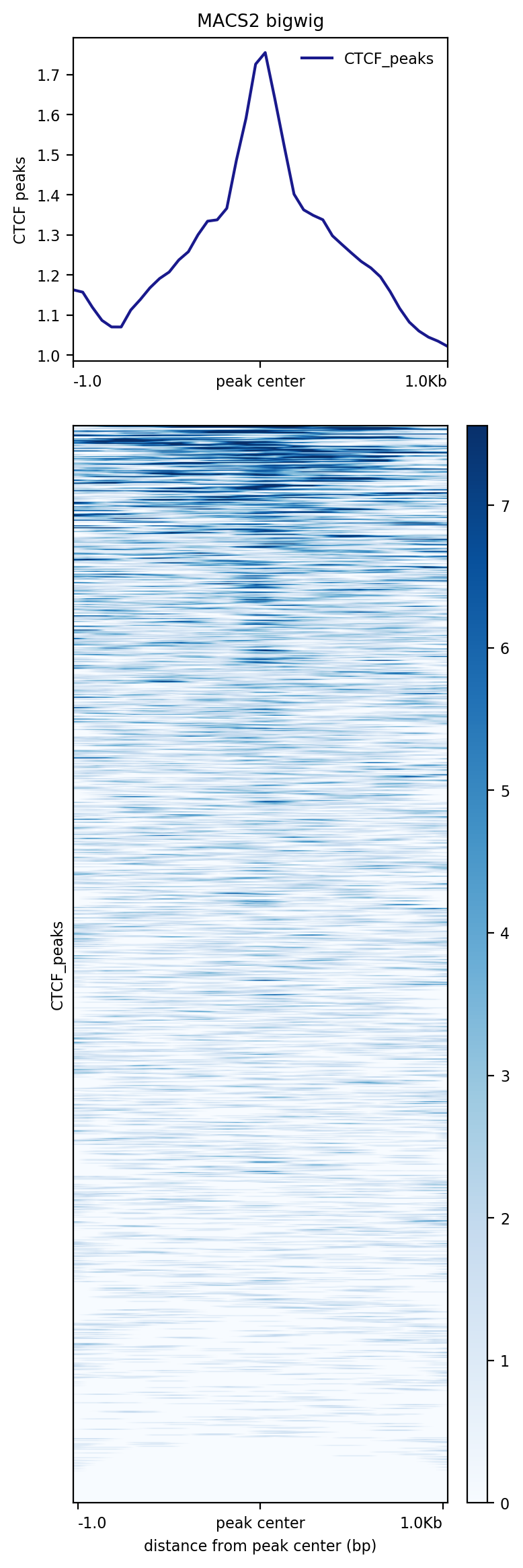 plotHeatmap output on CTCF. 