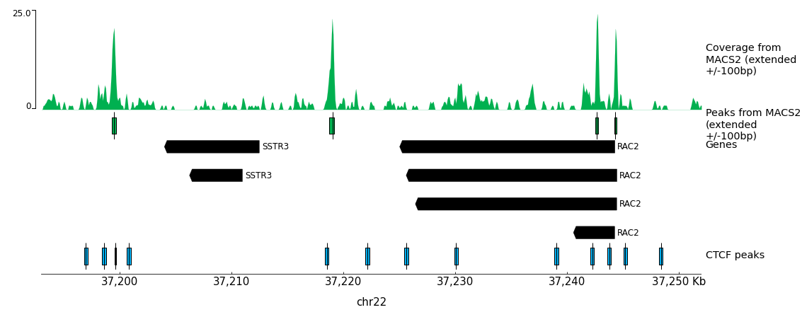 pyGenomeTracks output. 