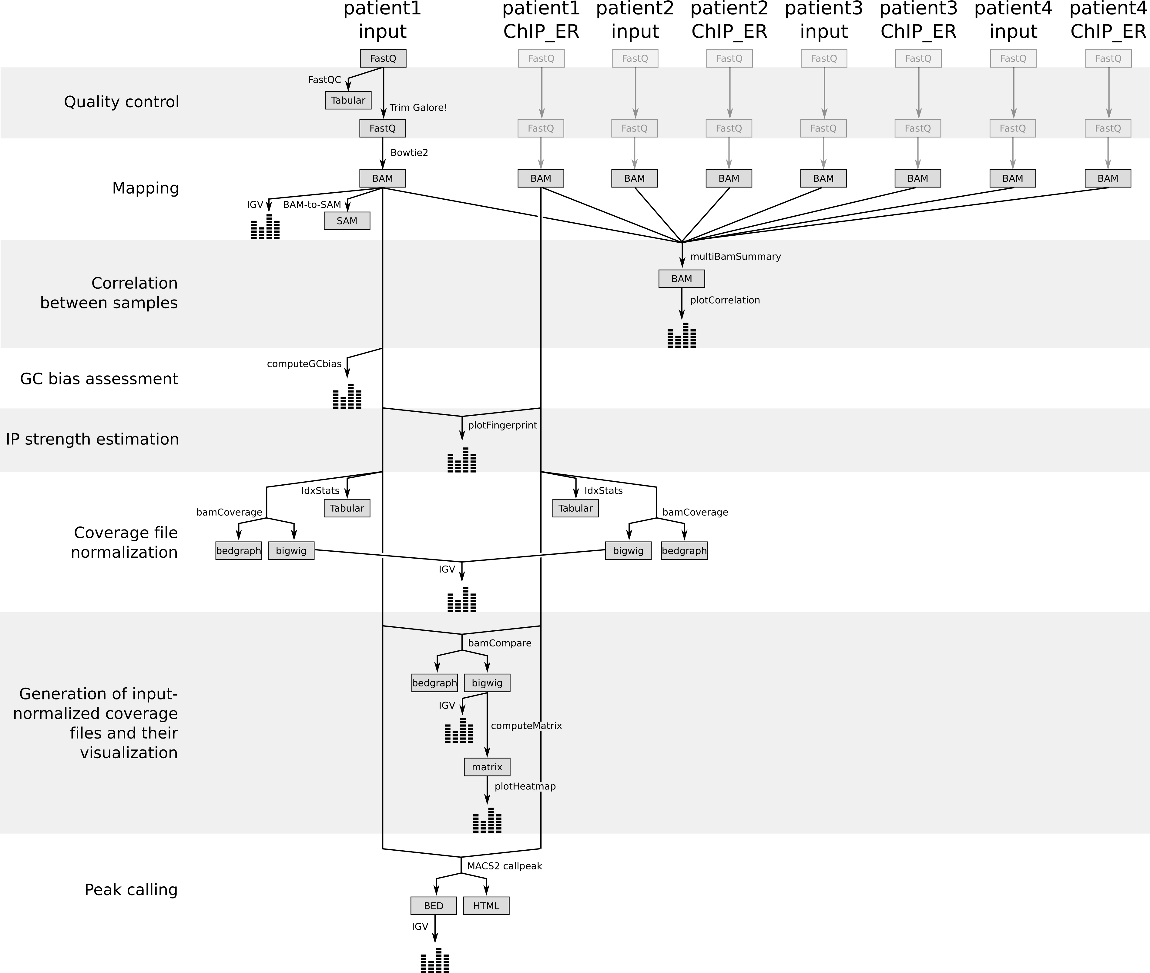 Summary of the different steps of the tutorial and the generated files. 