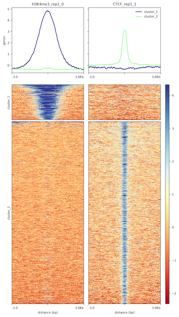 Output of plotHeatmap for 2 samples. 