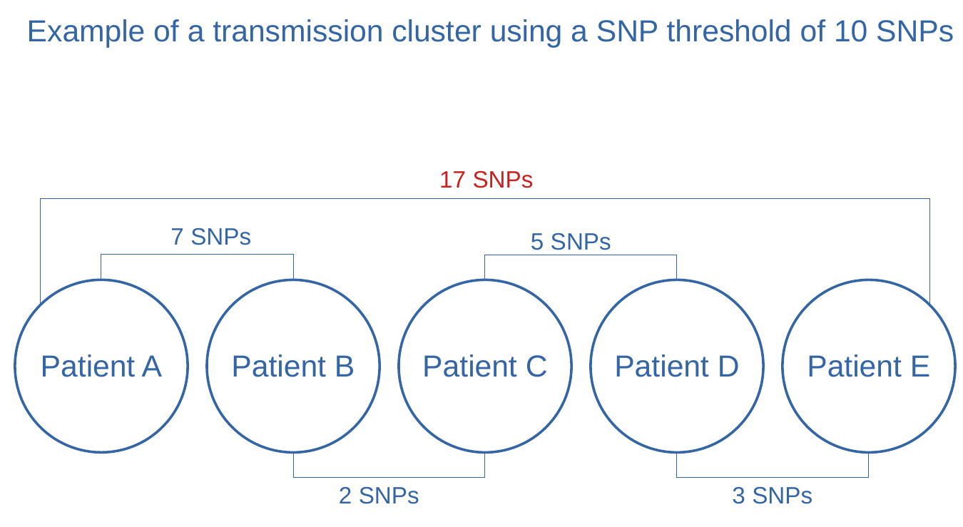 MSA of 5 MTB genomes. 