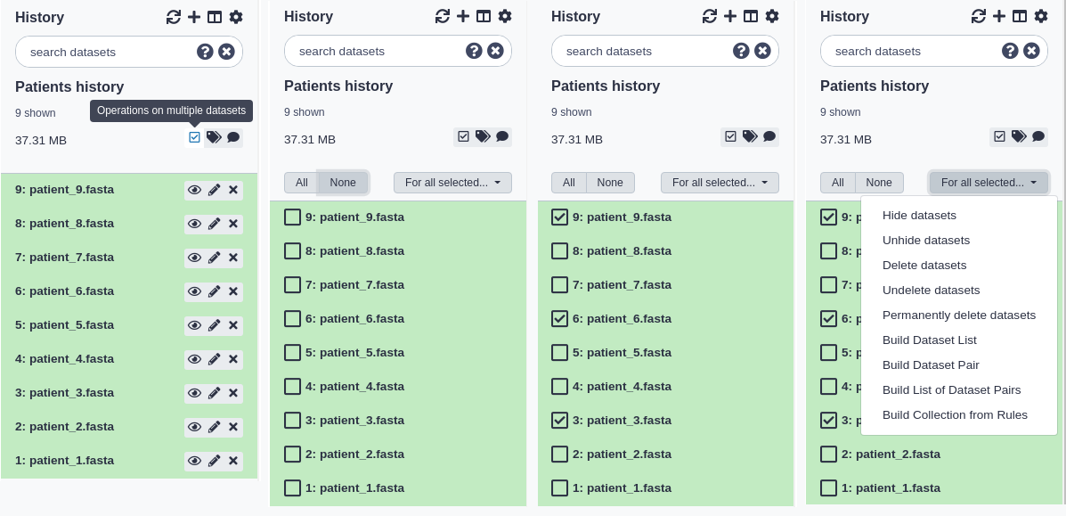 Multiselecting datasets. 