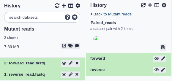 Dataset pairs. 