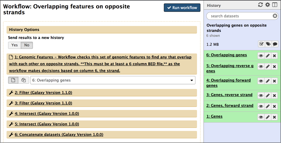 Run workflow form. 