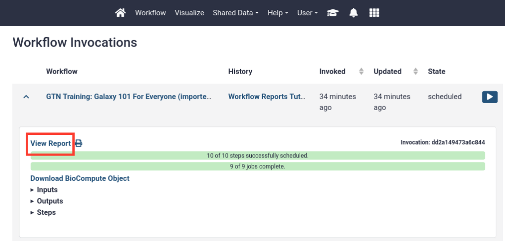 Access the workflow report from the invocations menu