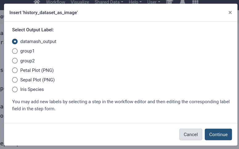 the list of datasets available to add, now includes the outputs we labeled in the workflow. 