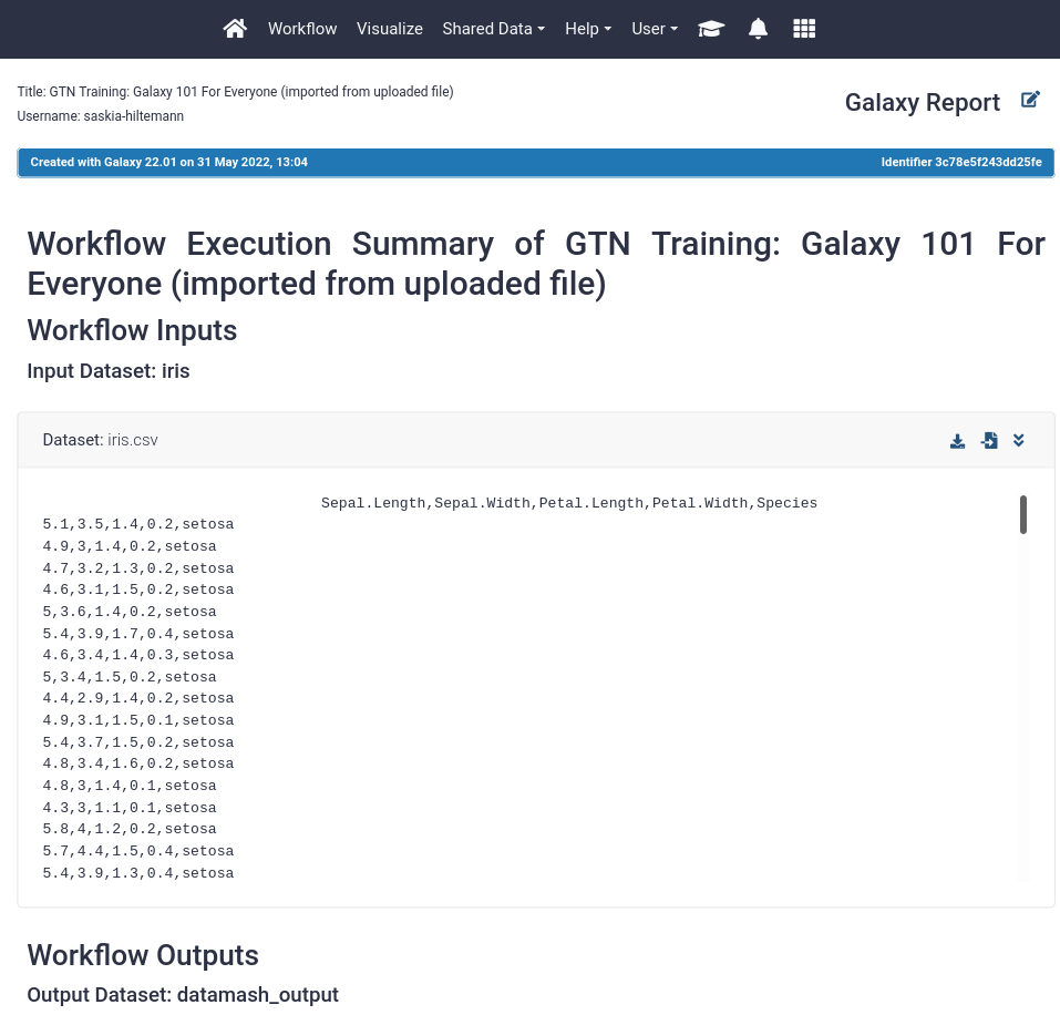 screenshot of the beginning of the default workflow report. 