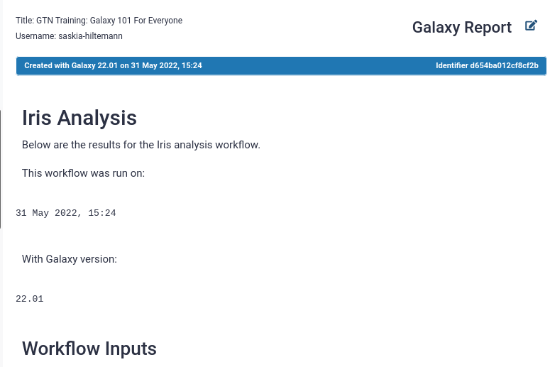 screenshot of the workflow report with our edits included. 