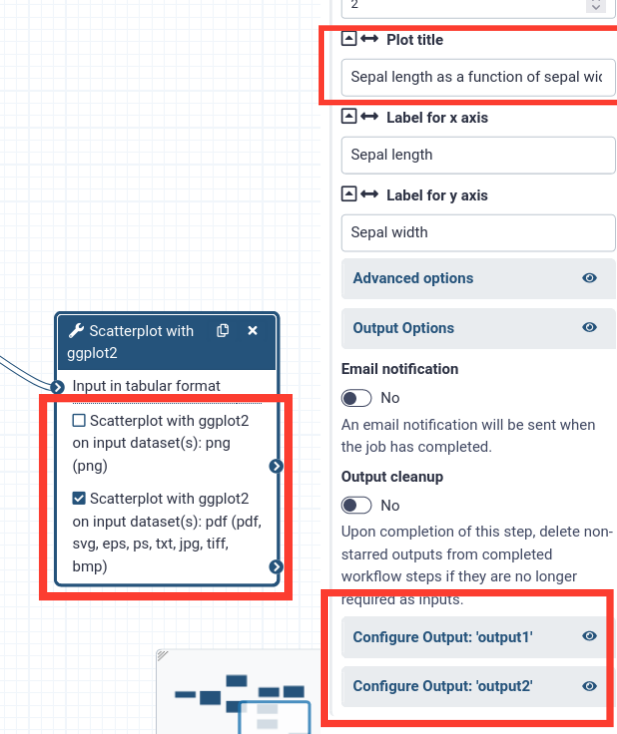 screenshot of the workflow editor to add labels to workflow outputs. 