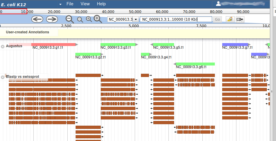 JBrowse with blastp results shown, genes appear as red green and blue stripes with a pointed end, blast results appear as stripes with portions missing where they don't align. 