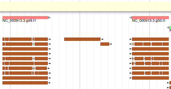 JBrowse showing no genes on the Augustus track, and one blast hit.