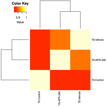 MAGeCK count hierarchical clustering plot. 