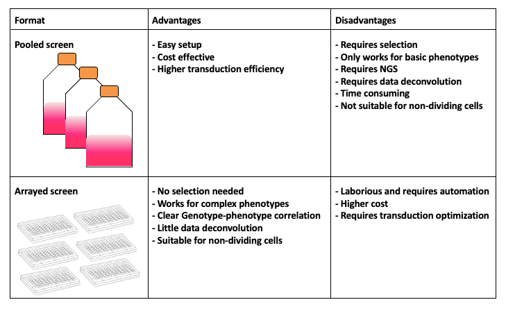 CRISPR screen