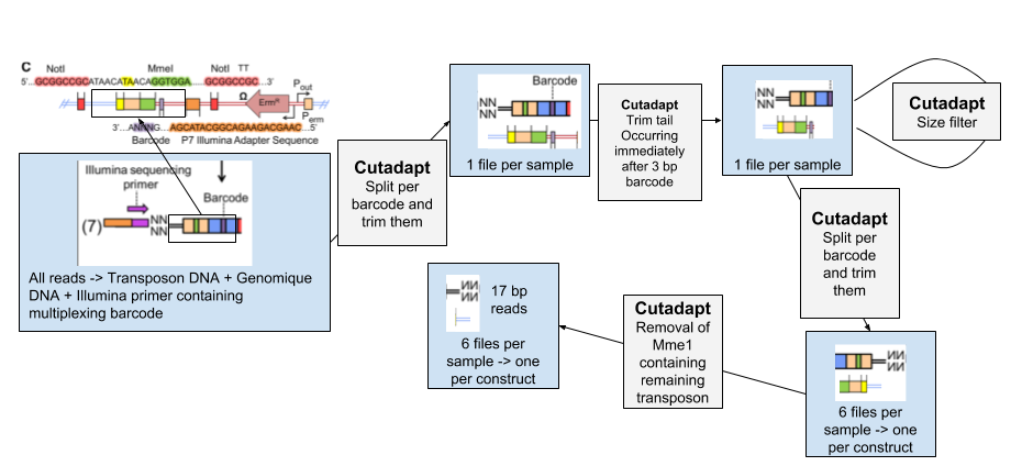 Workflow for preprocessing the read before alignment