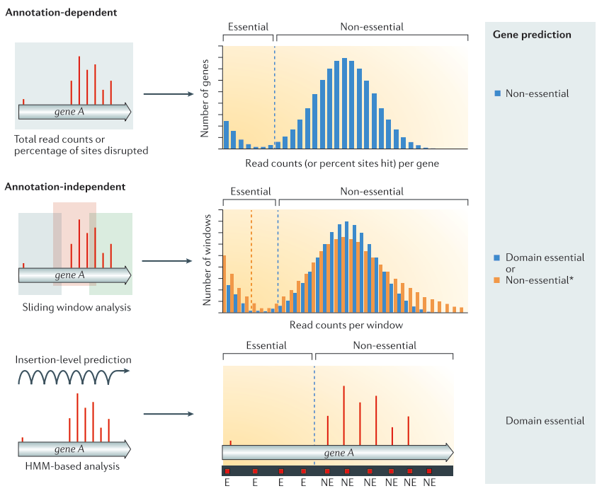 Different types of TnSeq Analyses methods