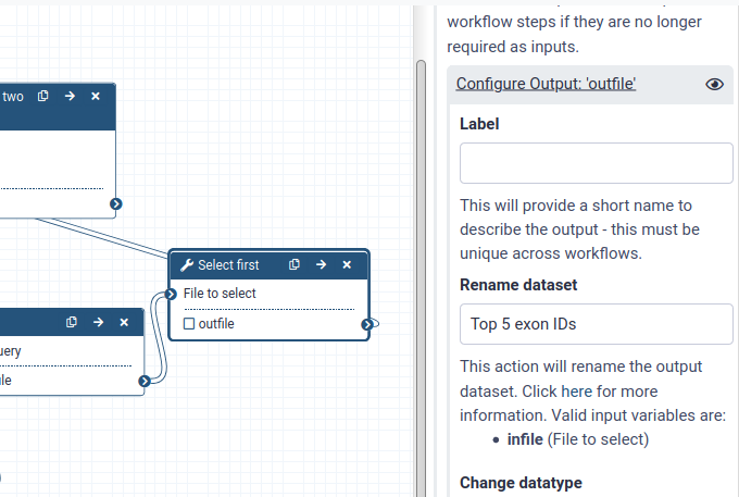 Rename the output of the `Select first` tool step. 