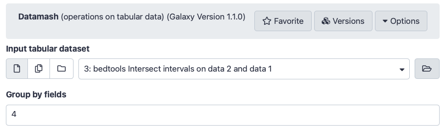 Datamash tool interface. 