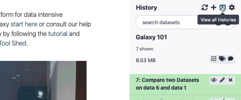 Drag and drop of `Exons` dataset in the history overview. 