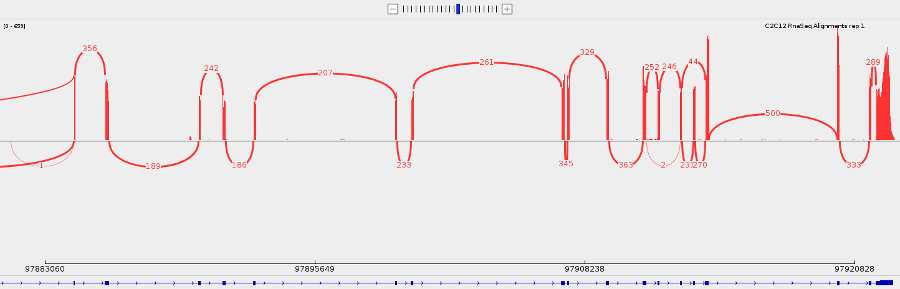 sashimi_plot. 