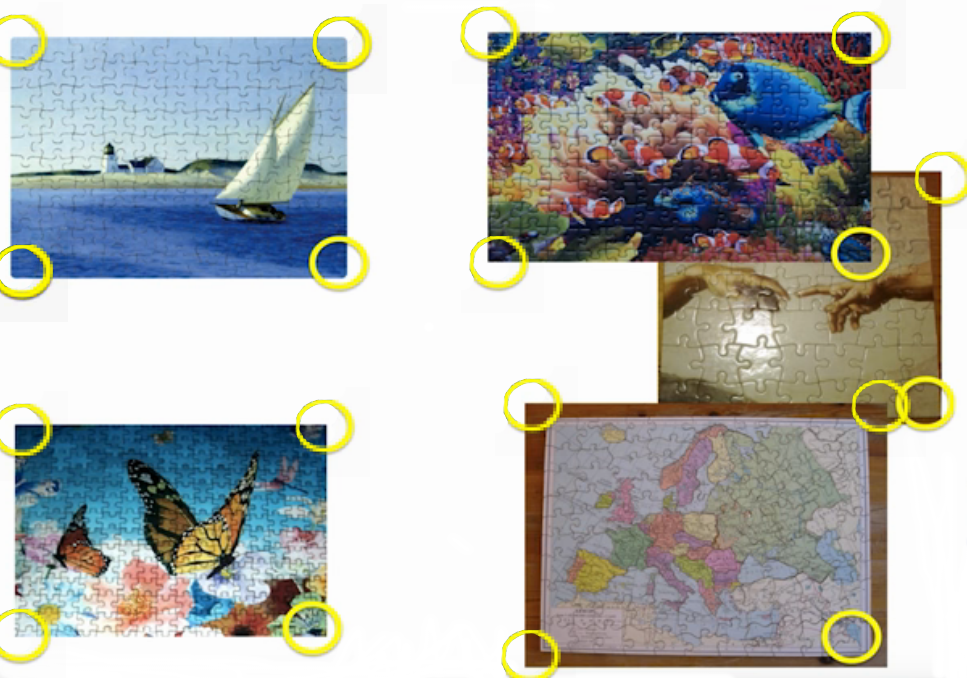 jigsaw puzzle image illustrating amplicon sequencing approach