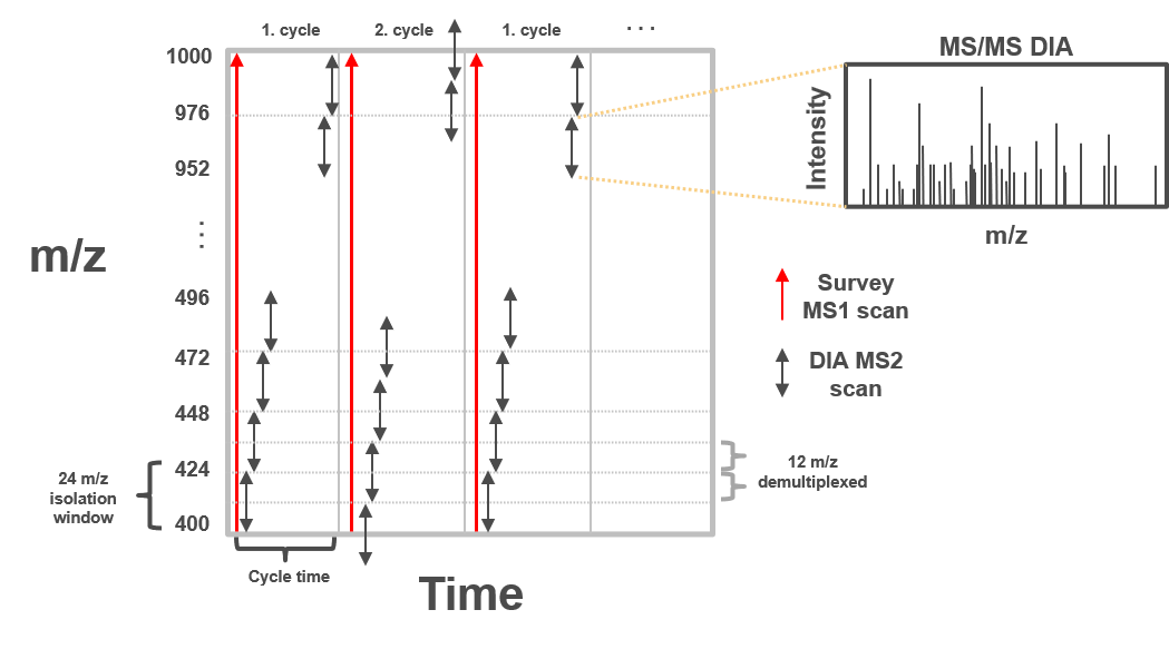 DIA_window_schema. 