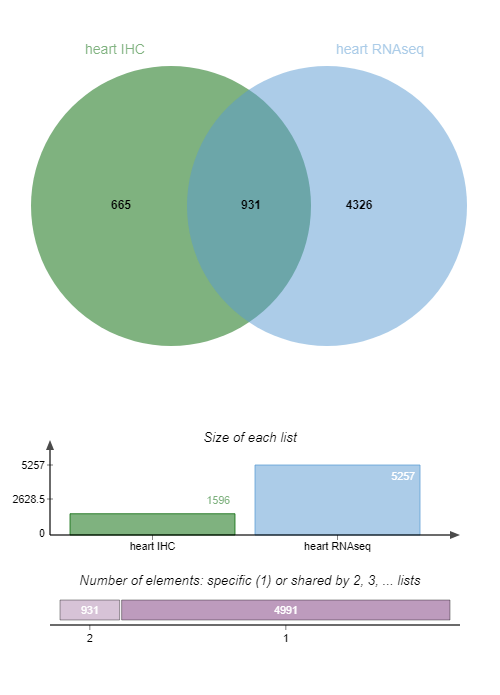 Venn diagram output. 