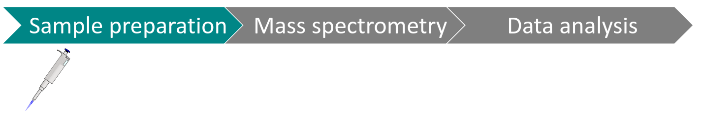 sample prep, MS, data analysis flow chart, but Sample Preparation is highlighted.