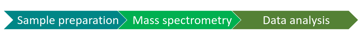 sample prep, ms, data analysis flow chart.