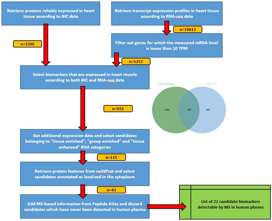 Overview of the pipeline described in this tutorial. 