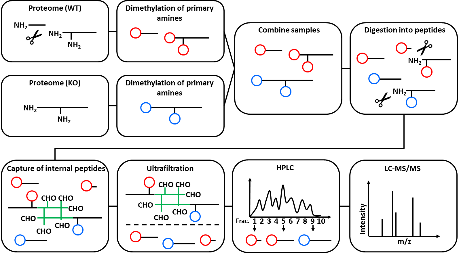 N-Tails technique. 