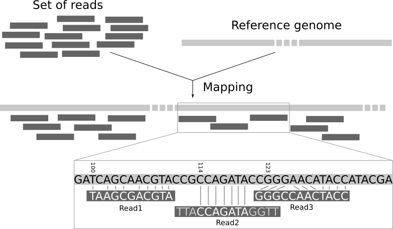 Explanation of mapping. 