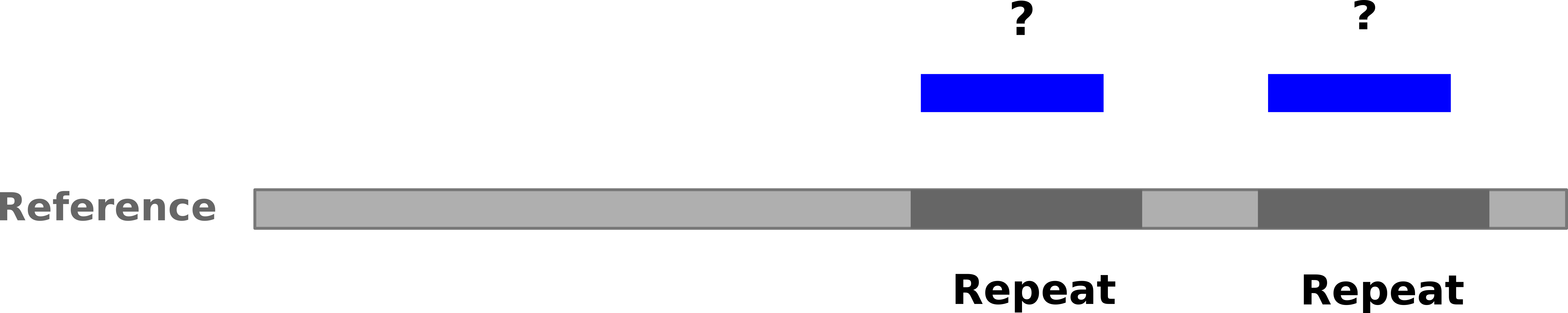 Cartoon with a reference genome and two repeats marked. Two blue boxes representing a single-ended read map equally well to both repeats.