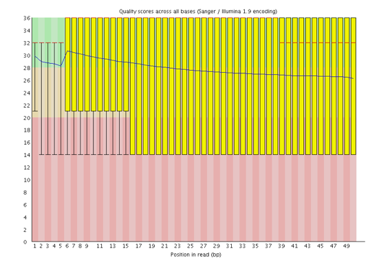 Cycles loss. 